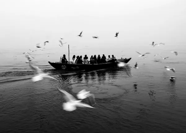 The Circle of Life thumbnail