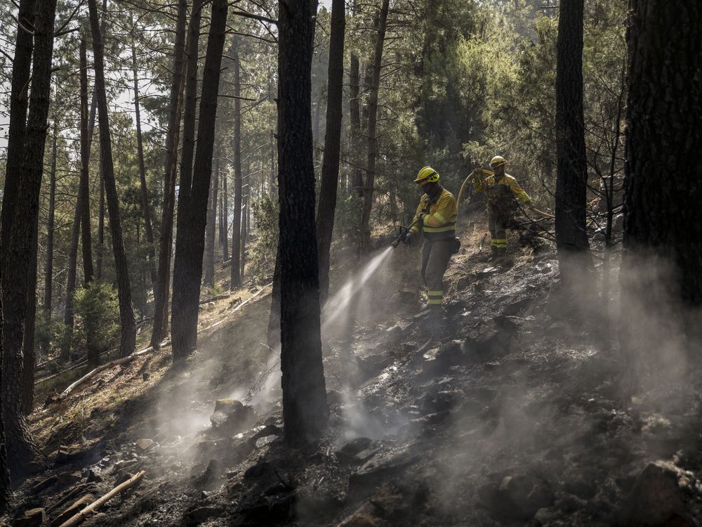 Firefighters from the Brigadas de Refuerzo en Incendios Forestales (BRIF) tackle a forest fire in Avila, Spain, on July 18, 2022.
