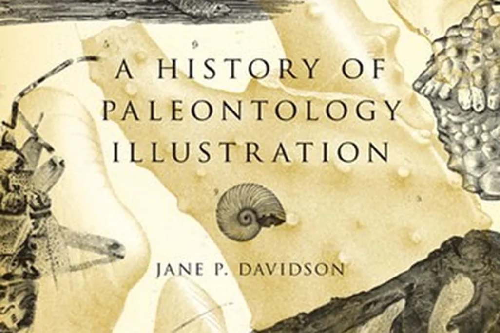 20110520083128history-of-paleo.jpg