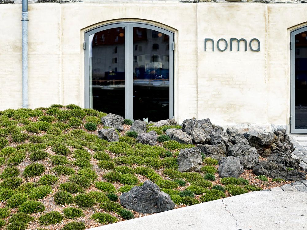 Noma outside