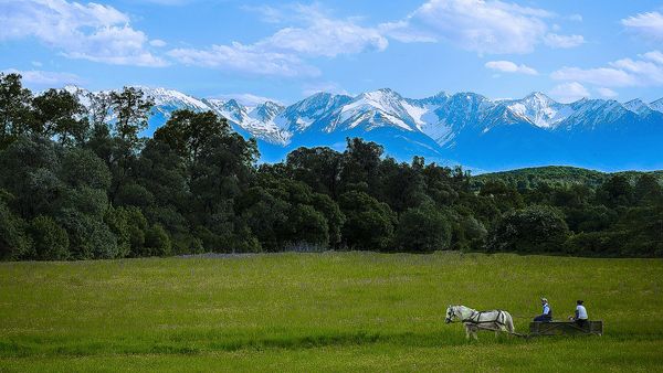 The carriage and mountains thumbnail