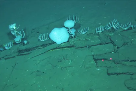 Scientists explored a tiny portion of the site during more than 30 dives with a submersible.