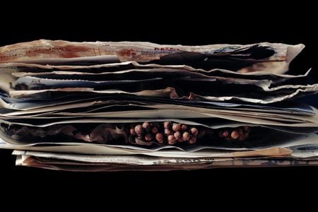 Liz Orton photographed seeds sent to Kew Gardens in London as long as a century ago.