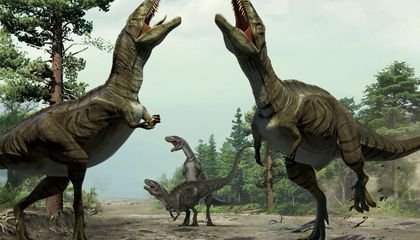 From Dinosaur Scratches to Insects in Amber, How Paleontologists Uncover Prehistoric Courtship