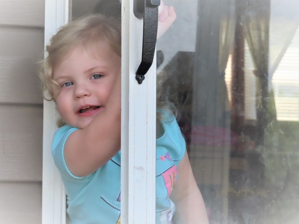 Ladybug Hunting Smithsonian Photo Contest Smithsonian Magazine