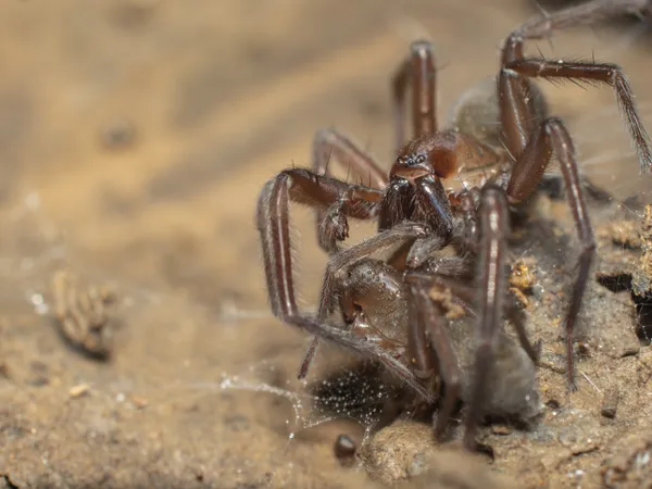 My delicious husband thumbnail