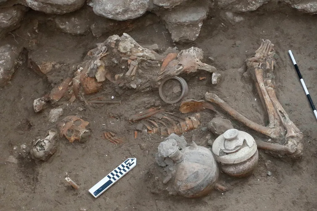 Remains In Israel