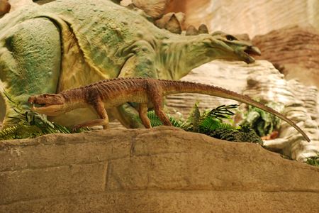 A reconstruction of Fruitachampsa, a Jurassic-era crocodile discovered in the Fruita Paleo Area and named in 2011. Small animals like Fruitachampsa help paleontologists reconstruct what life was really like in the Jurassic period.