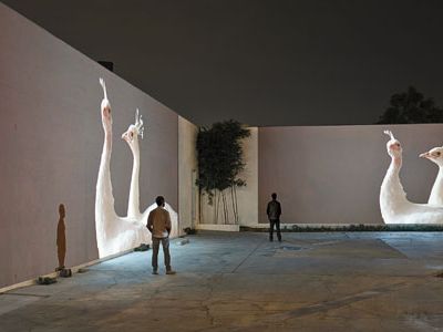 Doug Aitken