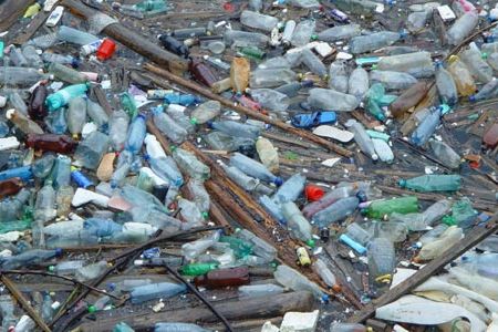 Bottles washed up on a beach