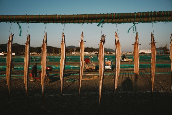 Drying fish and mending fishing nets thumbnail