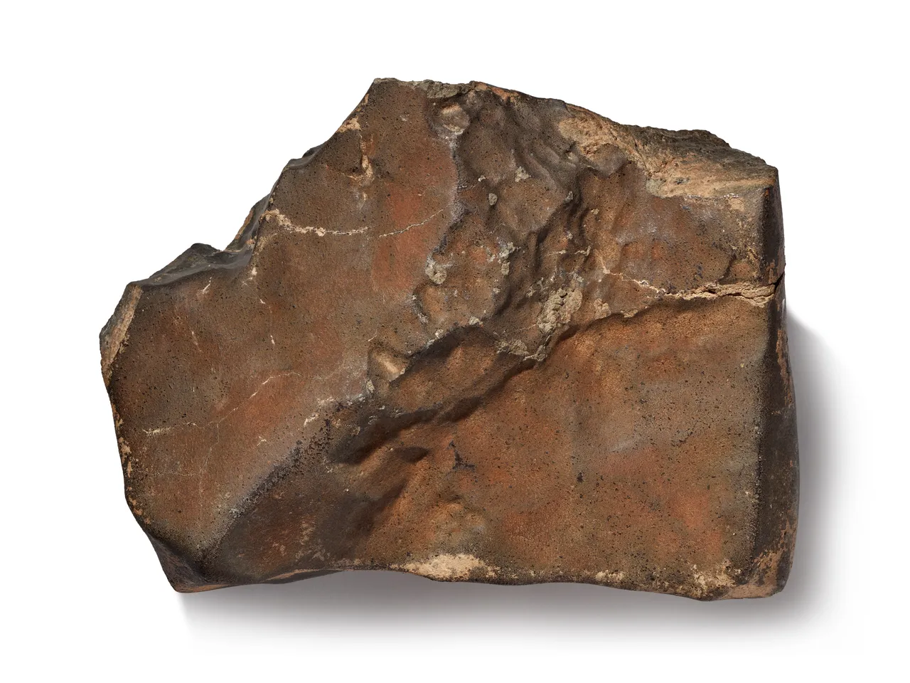 The Largest Martian Meteorite in the World Is Heading to Auction