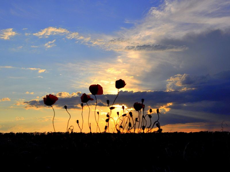Sunset in Ukraine_2 | Smithsonian Photo Contest | Smithsonian Magazine