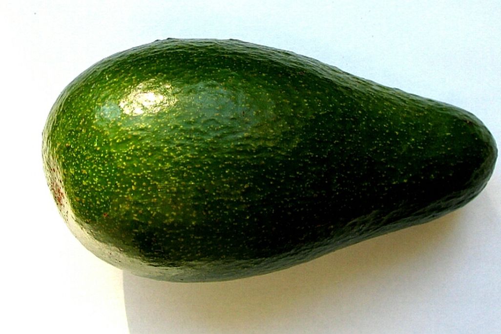 20110520090000dixi-persea_americana_fruit1.jpg