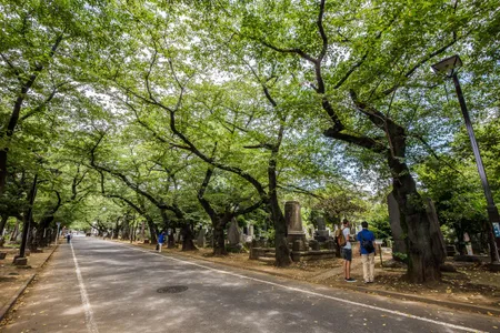 Many of the tombs in Japan are elaborately decorated. Nearby visitors can buy flowers, buckets. brooms and other gardening tools to tidy up the graves.