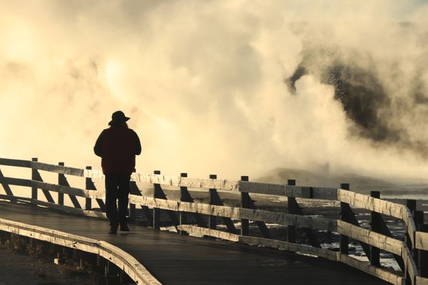My husband strolling a boardwalk in a thermal area of Yellowstone National Park thumbnail