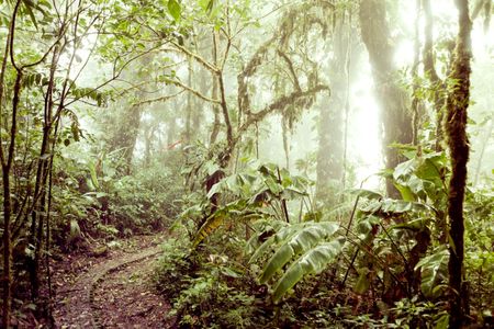 Two roads diverged in a wood and I — I took the one traveled by a robot, thanks. 