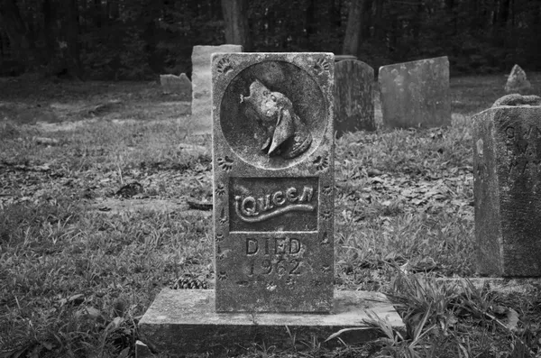 Memorial to Queen the Coon Dog thumbnail