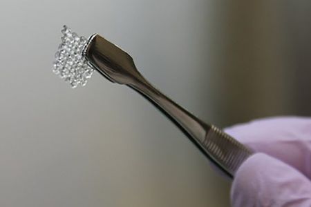The 3D printed ovaries