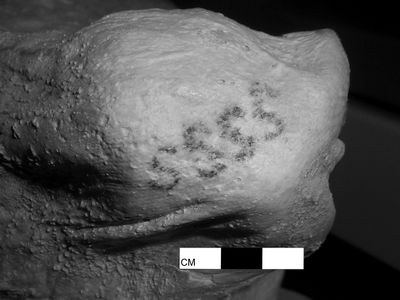 Tattoos on the Pre-dynastic female mummy from Gebelein.