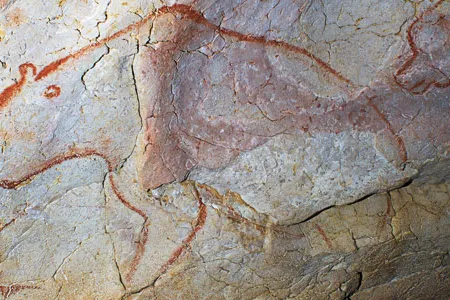 Cave bears loomed large in the Cro-Magnon mind as shown in this Chauvet cave painting.