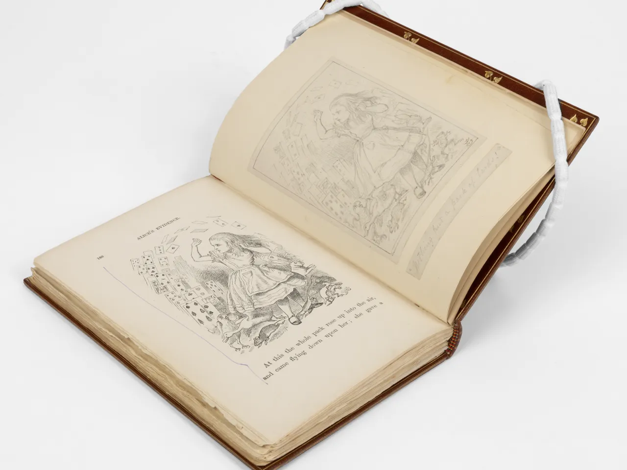 Louis Carolページ Lewis Carroll's Personal Copy of 'Alice's Adventures in Wonderland