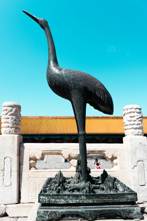 A Crane in the Palace thumbnail
