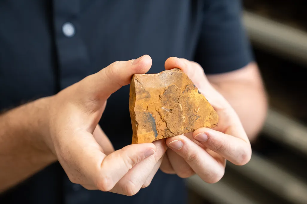 Man's hand holding up a fossil