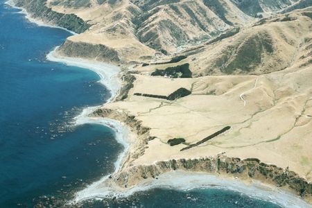 An aerial view of the New Zealand coast shows marine terraces lifted up by an earthquake.