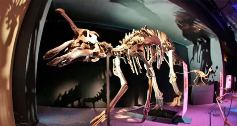20111214023021franklin-institute-dinosaurs.jpg