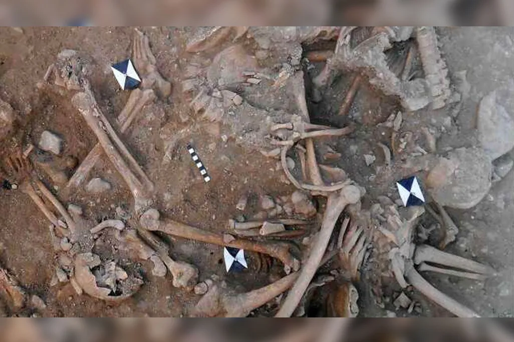 Bones in Crusader mass grave