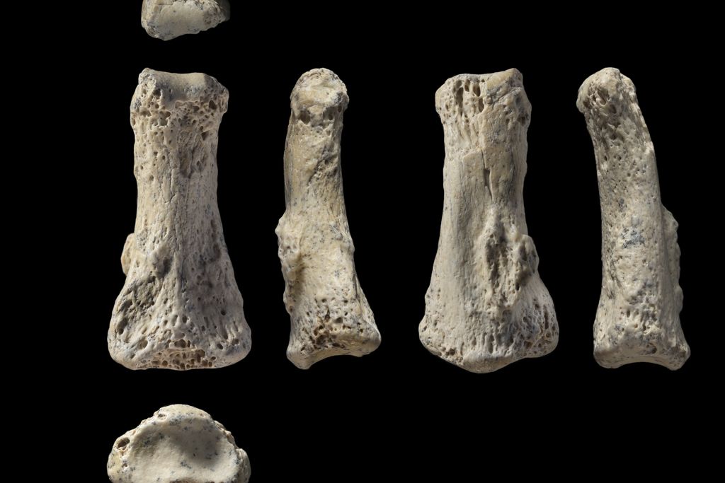 fingerbones.jpg