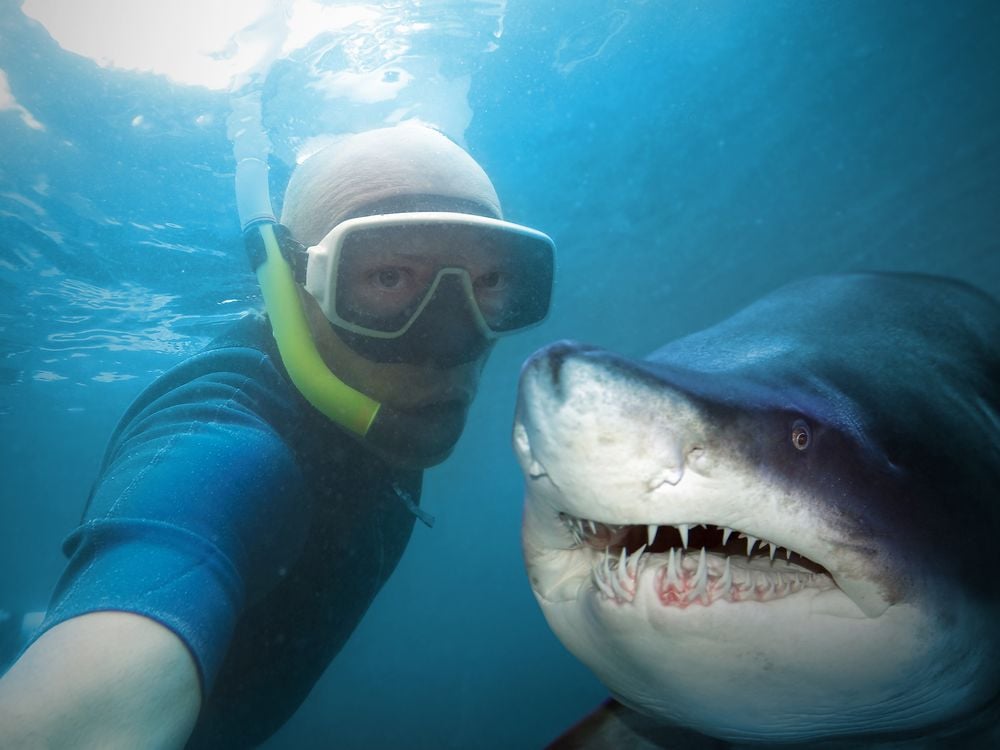 Man and Shark