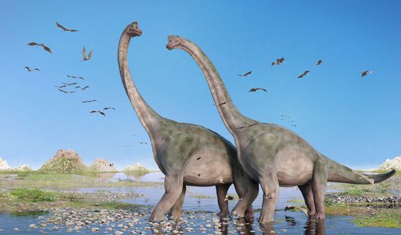 New evidence has made scientists rethink sauropods as being purely land dwellers. (dottedhippo/iStock/Thinkstock)