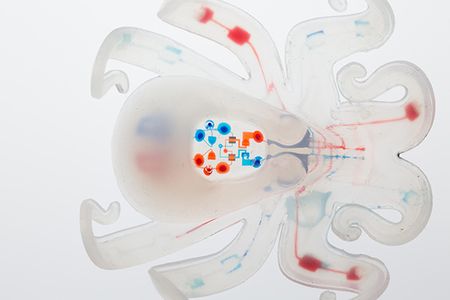 Meet Octobot. 