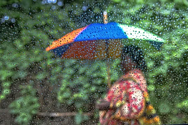 Through the Rain-Streaked Glass thumbnail