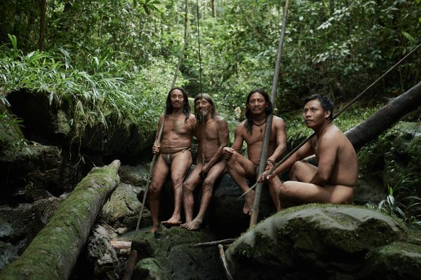 Guardians of the Amazon thumbnail