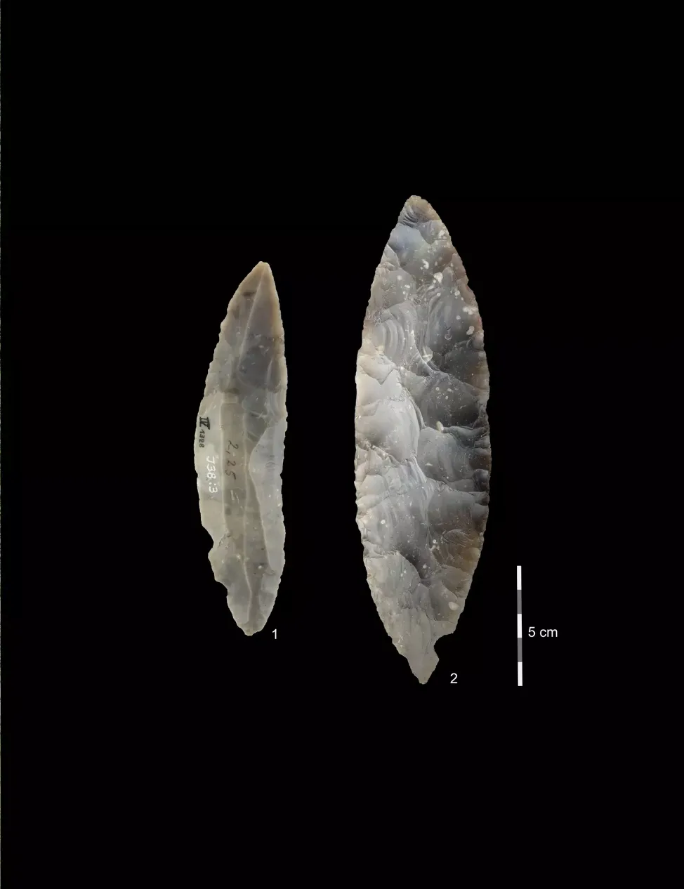 two double-ended leaf points like spearheads