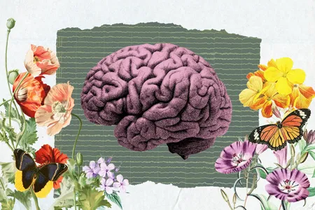 By studying brain waves, heart rate and shifts in neurotransmitters and hormones, researchers aim to quantify the experiences of beauty and art.
