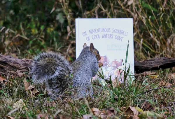 Mandatory Squirrel Reading thumbnail