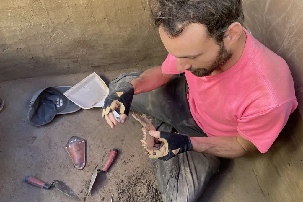 Man wearing pink shirt sitting on the ground holding up a jaw bone