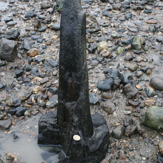 Erosion of a Bronze Age Post in the Thames