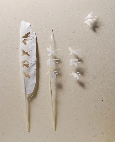 Beautiful Artwork Cut Out of Feathers, Science