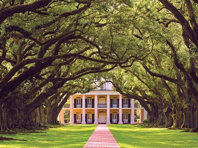 Stroll from the river to the mansion beneath perfectly aligned rows of live oak trees.