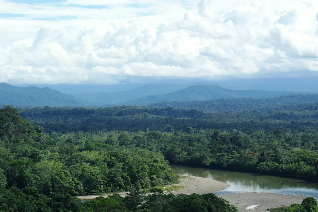 Amazon Basin