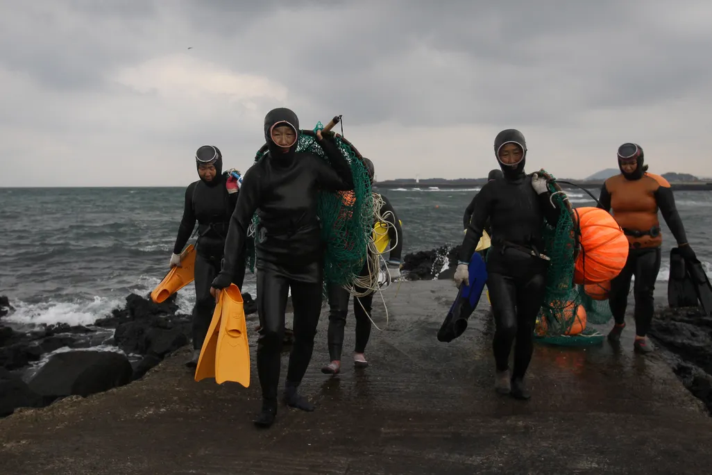 a group of four older Korean women exit the water carrying diving gear and wearing wetsuits