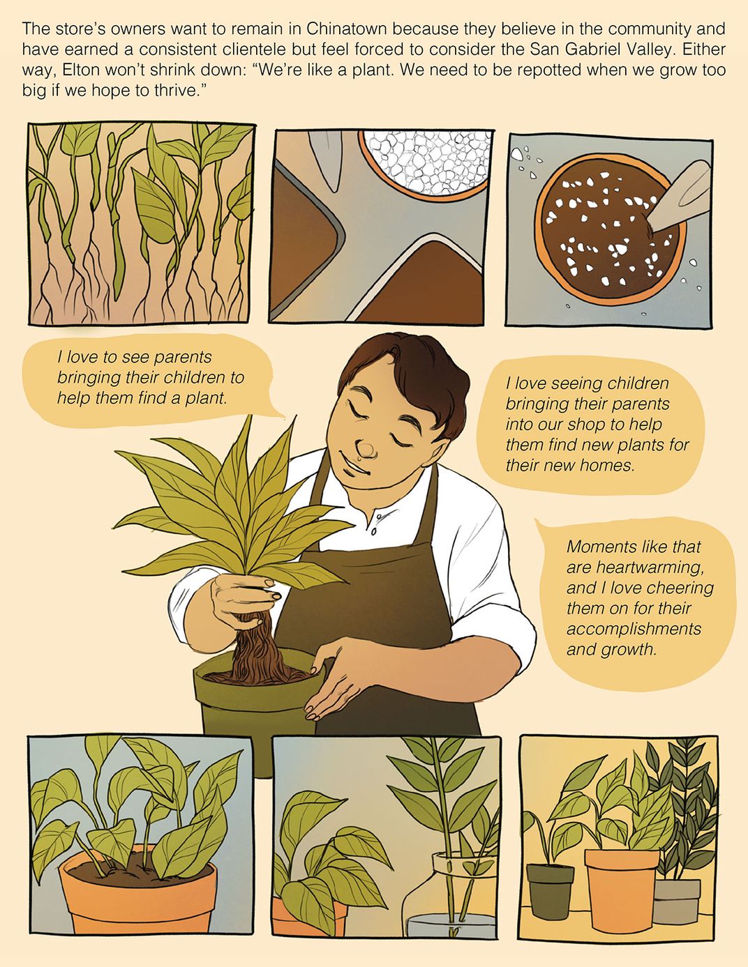 Illustrated comic page. Three panels on top and three  on the bottom, each illustrating steps to pot a plant with roots. In the center, Elton repots a plant.