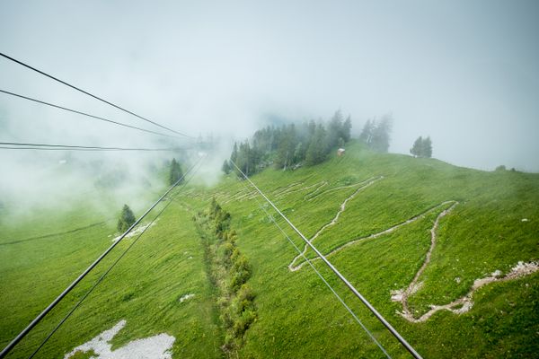Cable car  and cow path on Stanserhorn thumbnail