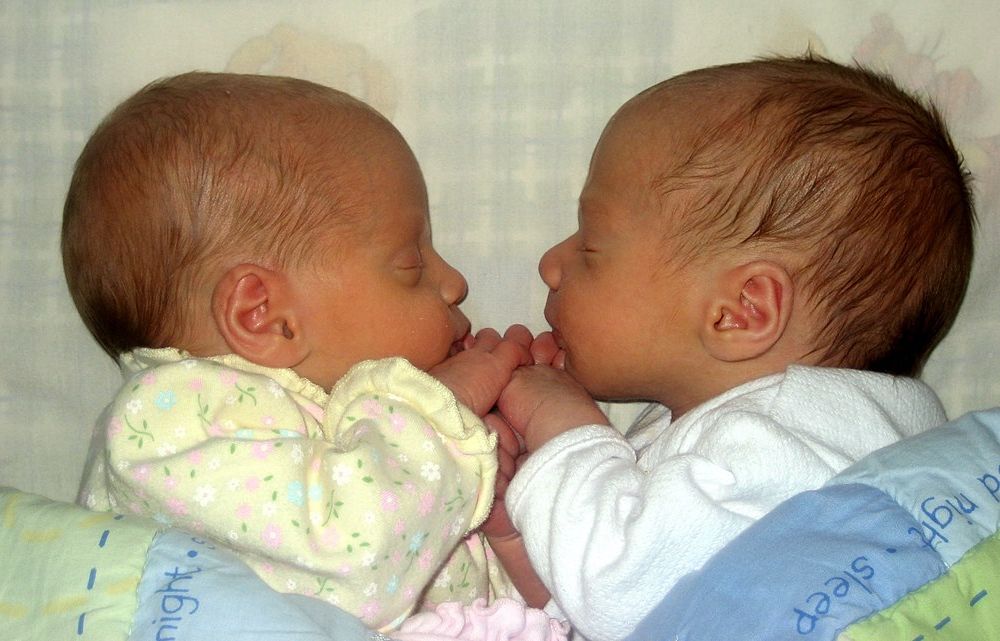 A photo of two newborns facing each other and holding hands