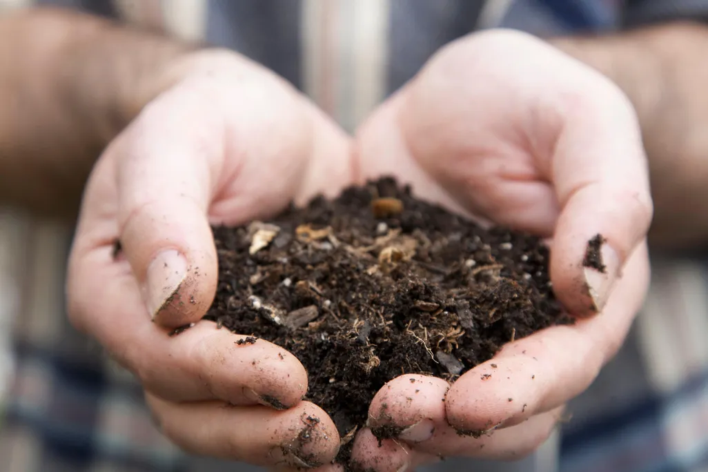Soil in Hand